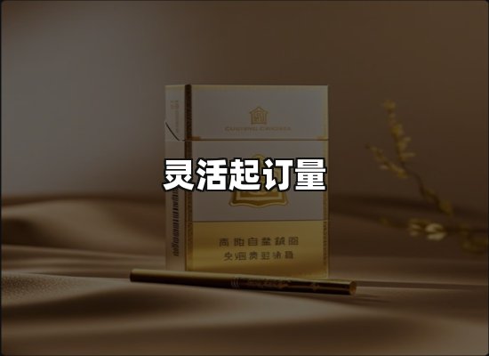 专业优势